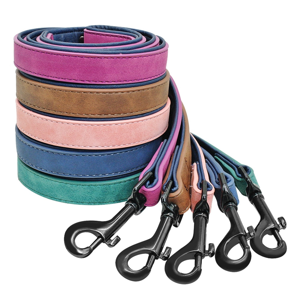 Personalized Dog Collar and Leash
